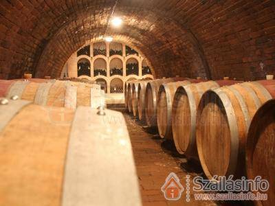 Diófa Panzió (Dél-Dunántúl > Baranya megye > Villány)