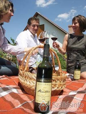 Diófa Panzió (Dél-Dunántúl > Baranya megye > Villány)