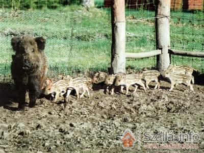 Imperial Vendégház (Central Transdanubian > Komárom-Esztergom megye > Bábolna)