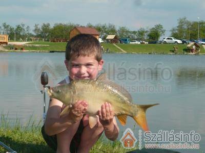 Joó-tó Vendégház (Közép-Dunántúl > Veszprém megye > Marcalgergelyi)