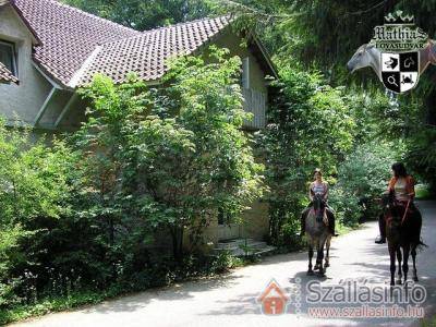 Mathias Lovaspanzió (Budapest and surroundings > Pest megye > Kemence-Királyháza)