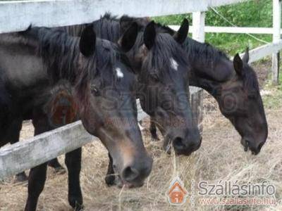 Mathias Lovaspanzió (Budapest und die Umgebung > Pest megye > Kemence-Királyháza)