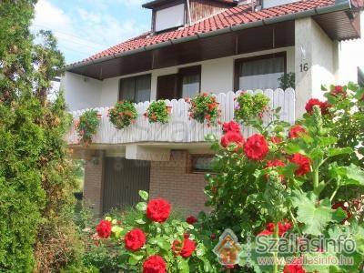 Németh Vendégház (Észak-Alföld > Jász-Nagykun-Szolnok megye > Tiszaföldvár)