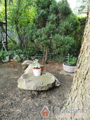 Nyárfa Magánszállás (Észak-Alföld > Szabolcs-Szatmár-Bereg megye > Tiszalök)