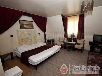 Apartman Hotel Sárvár (West Transdanubian > Vas megye > Sárvár)